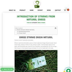 Introduction Of Straws From Natural Grass