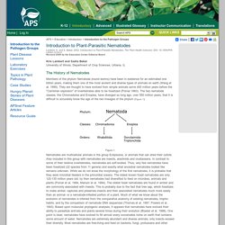 Introduction to Plant-Parasitic Nematodes