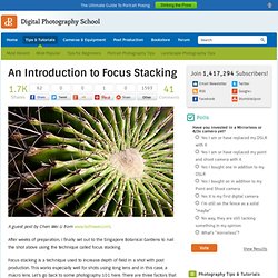 An Introduction to Focus Stacking