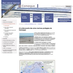 Introduction - Parc naturel régional de Camargue