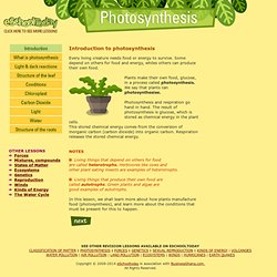 Introduction to photosynthesis