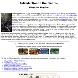 Introduction to the Plantae