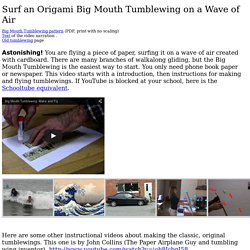 introduction to the tumblewing