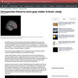 Introspection linked to more gray matter in brain: study