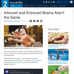 Introvert and Extrovert Brains Aren't the Same