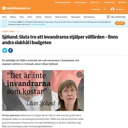 Sjölund: Sluta tro att invandrarna stjälper välfärden – finns andra slukhål i budgeten