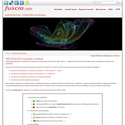 TIPE 2012-2013 Invariance, similitude » fuscia