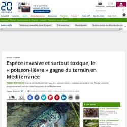 20MINUTES 07/02/20 Espèce invasive et surtout toxique, le « poisson-lièvre » gagne du terrain en Méditerranée