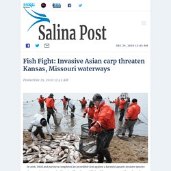 SALINA POST 25/12/20 Fish Fight: Invasive Asian carp threaten Kansas, Missouri waterways