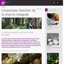 L'inventaire forestier de la réserve intégrale