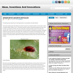 Spider Mite's Secrets Revealed