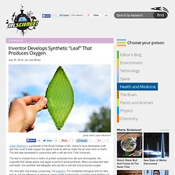 Inventor Develops Synthetic "Leaf" That Produces Oxygen