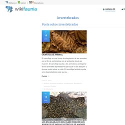 Wikifaunia, tu enciclopedia de animales