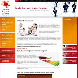 Business Angels Netwerk Vlaanderen Risicokapitaal Investeringska
