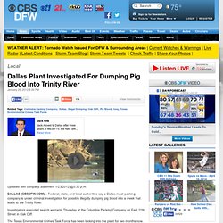 Dallas Plant Investigated For Dumping Pig Blood Into Trinity River