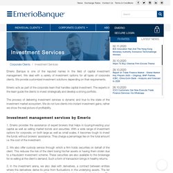 Investment Management Services