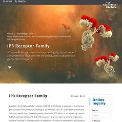 IP3 Receptor Family