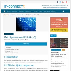 IPv6 : Qu'est ce que l'EUI-64