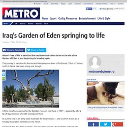 Iraq's Garden of Eden springing to life