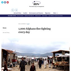1,000 Afghans flee fighting every day