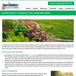 Garden Smart: Irrigating Your Vegetable Beds - Sprinkler DoctorsSprinkler Doctors