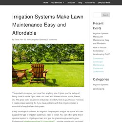 Irrigation Systems Make Lawn Maintenance Easy and Affordable