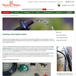 How to set up a drip irrigation system