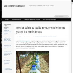 Irrigation solaire au goutte à goutte : une technique gratuite à la portée de tous