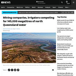 Mining companies, irrigators competing for 145,000 megalitres of north Queensland water