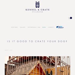 Is It Good to Crate Your Dog? — Kennel & Crate