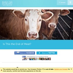 Is This the End of Meat?
