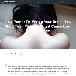 Is watching porn bad for you?