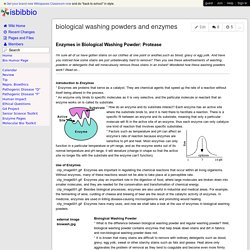 isbibbio - biological washing powders and enzymes