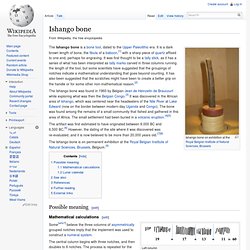 Ishango bone