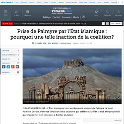 Prise de Palmyre par l'État islamique : pourquoi une telle inaction de la coalition?