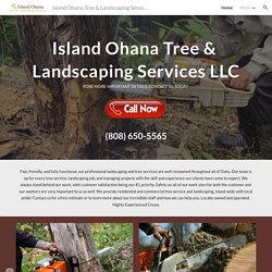 Island Ohana Tree & Landscaping Services LLC