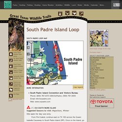 South Padre Island Loop — Texas Parks & Wildlife Department