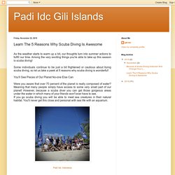 Padi Idc Gili Islands: Learn The 5 Reasons Why Scuba Diving Is Awesome