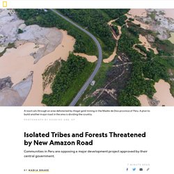 Isolated Tribes and Forests Threatened by Peru's New Amazon Road