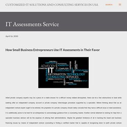 How Small Business Entrepreneurs Use IT Assessments in their Favor