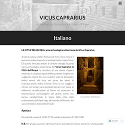 Vicus Caprarius