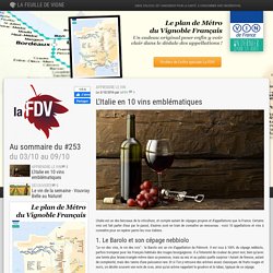 L'Italie en 10 vins emblématiques