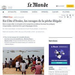En Côte d’Ivoire, les ravages de la pêche illégale