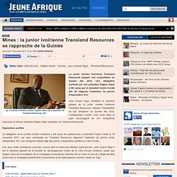 Mines : la junior ivoirienne Transland Resources se rapproche de la Guinée