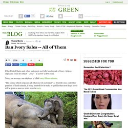 Ban Ivory Sales