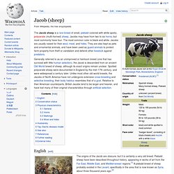Jacob (sheep)