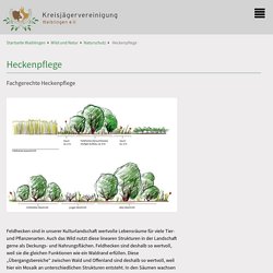 Jägervereinigung Waiblingen: Heckenpflege