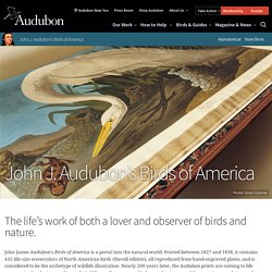 John James Audubon's Birds of America