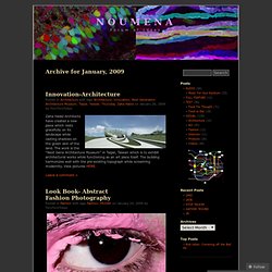 2009 January « Noumena