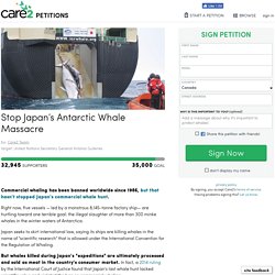 texte de la pétition: Stop Japan’s Antarctic Whale Massacre